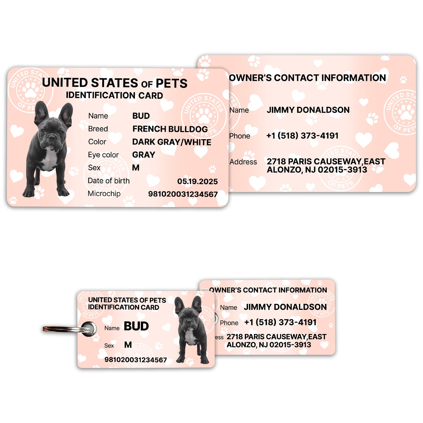 Personalized Dog ID Card & Tag