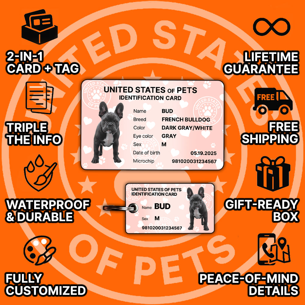 Personalized Dog ID Card & Tag