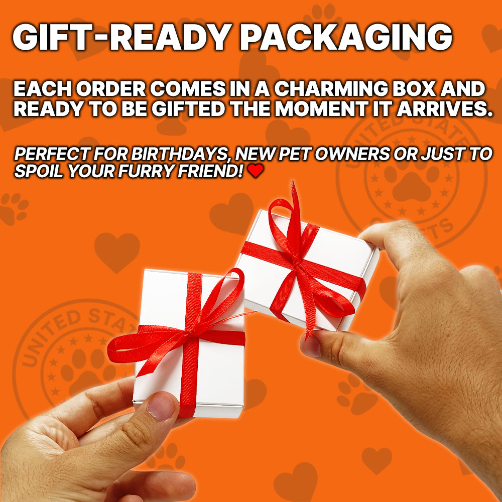 Personalized Dog ID Card & Tag