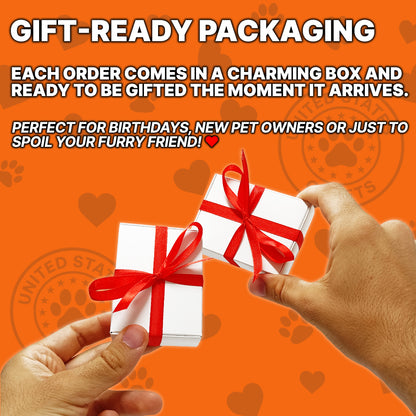 Personalized Dog ID Card & Tag