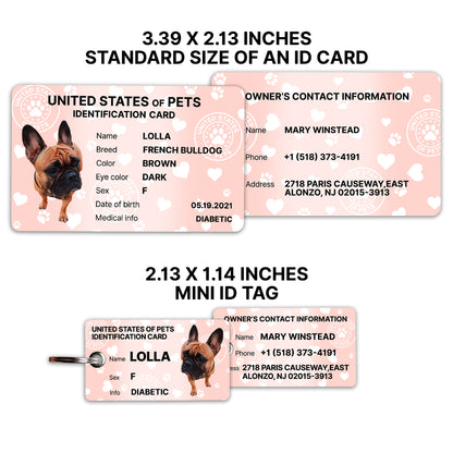 Personalized Dog ID Card & Tag