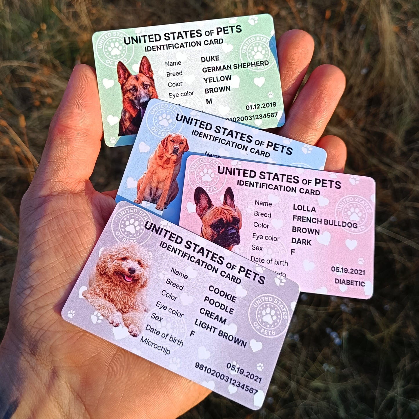 Personalized Dog ID Card & Tag