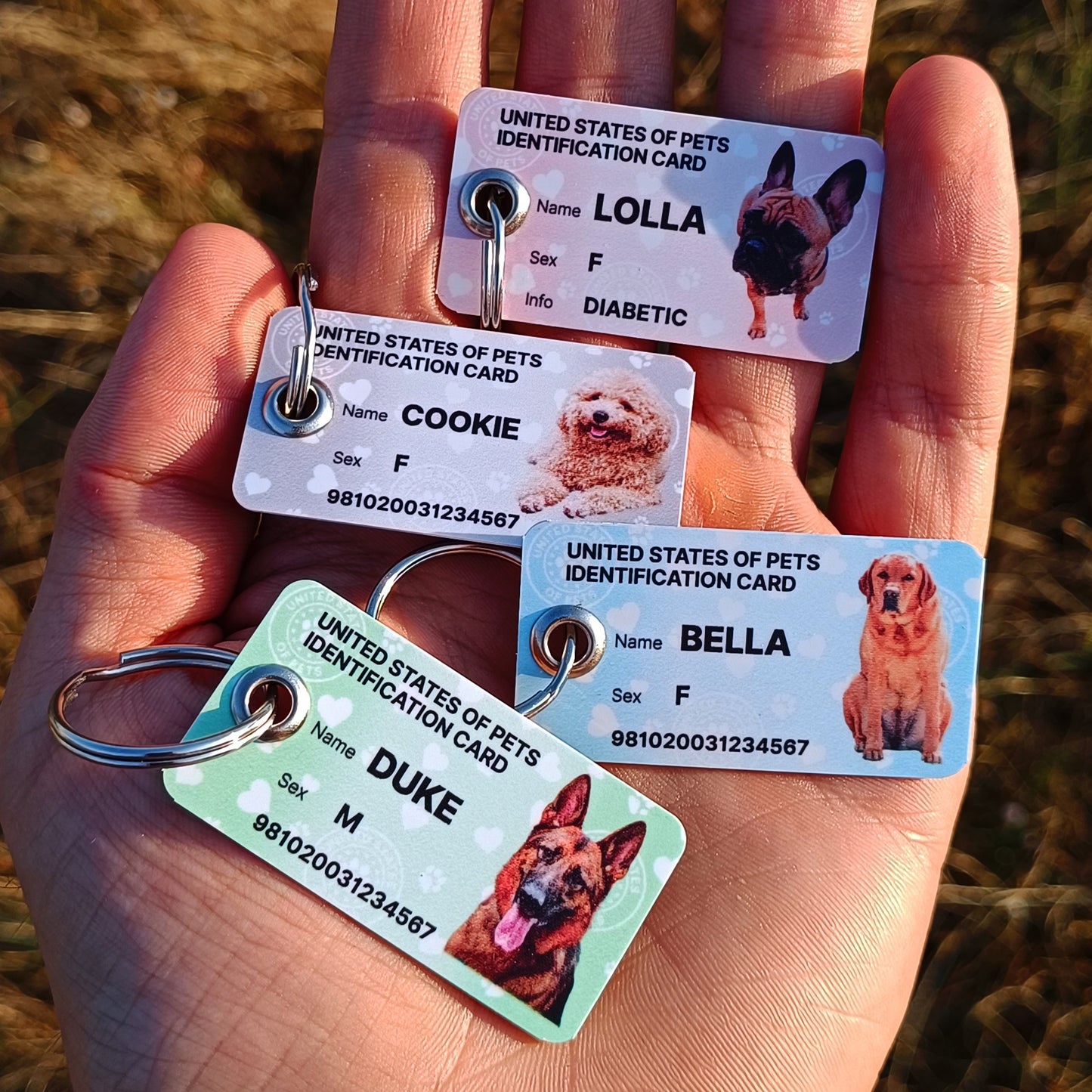 Personalized Dog ID Card & Tag
